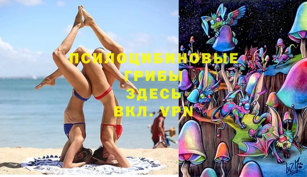 mdpv Алзамай
